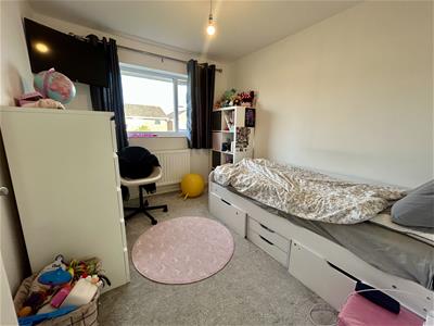 Picture 14